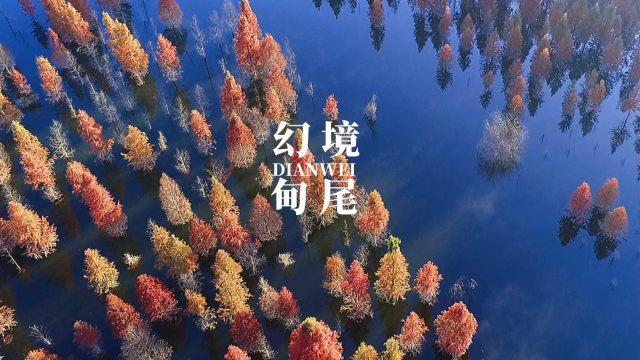 ​王万征任赣江新区党工委副书记、管委会主任