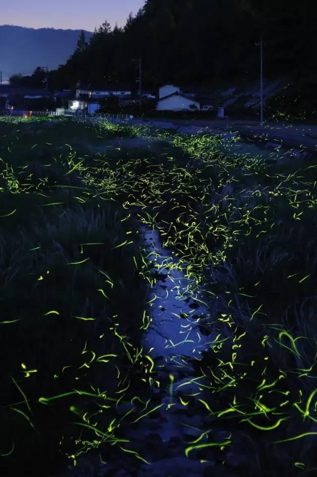 逗小猴开心系列192