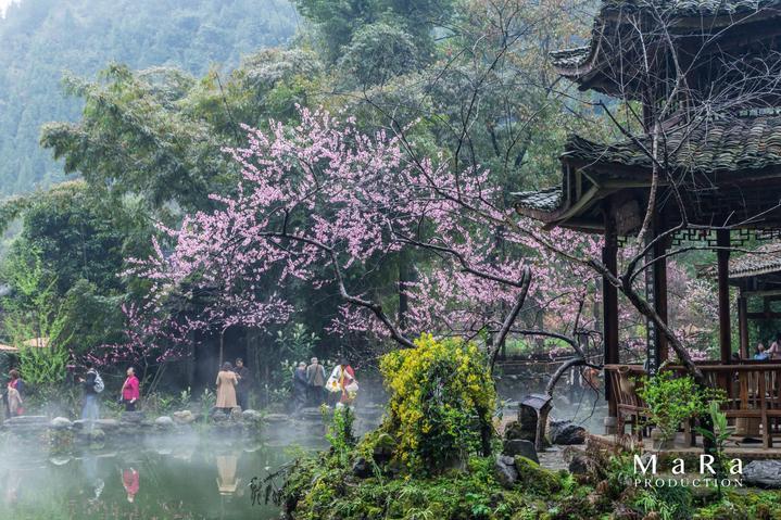 神之浩劫