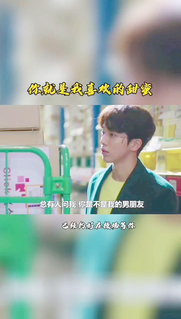 动物记忆大翻牌