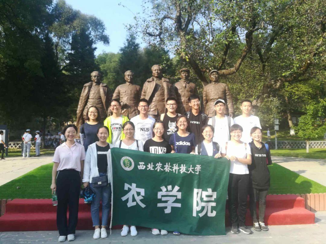 谈恋爱的时候该不该让对方看手机？游戏画面