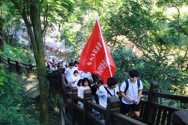 绯雨骑士团