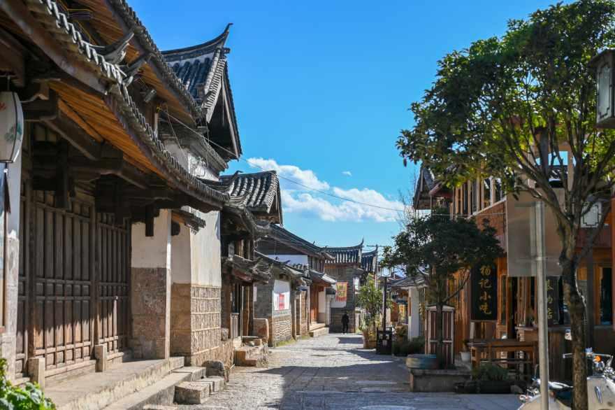 动物帮帮忙保卫家园